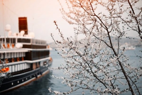 Quels sont les types de croisières possibles à Périgueux et comment les choisir ?