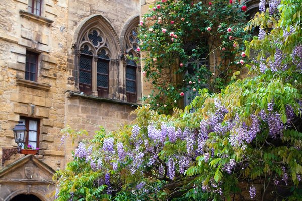 Quel hébergement en camping choisir pour faire du tourisme à Périgueux ?